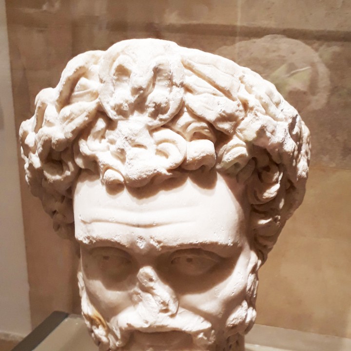Head of the emperor Septimius Severus image