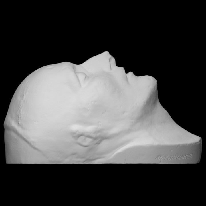 Death Mask of Napoleon image