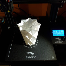 Picture of print of Pointy Vase (for Vase Mode)