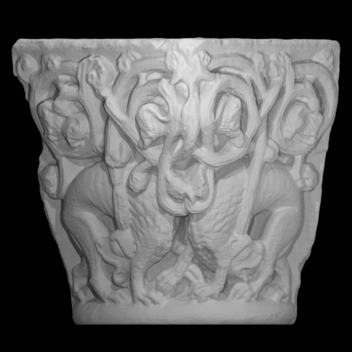 Capital - Lions in Scrolling Foliage image