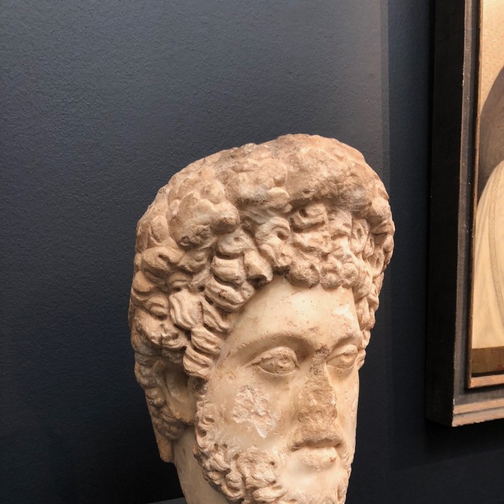 Head of emperor Commodus image