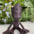 Baby Groot Succulent Planter print image
