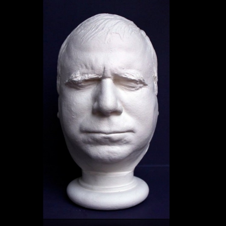 3D Printable Sir John Ross by Anatomical Museum