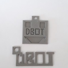 Picture of print of DBOT Key chain