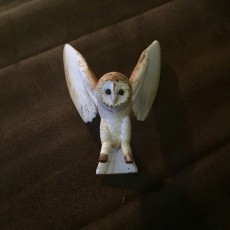 Picture of print of Simple Barn Owl (Totemic)
