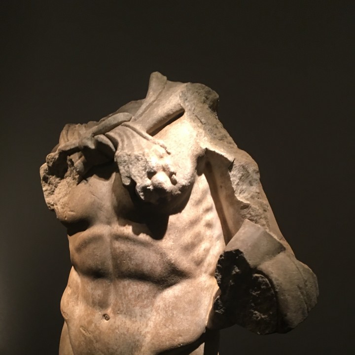 Torso of Hercules image