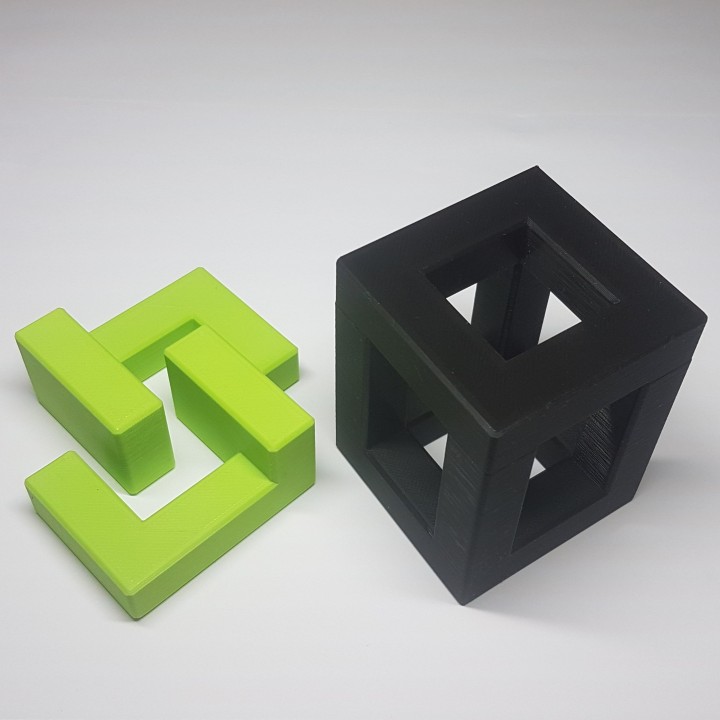 3D Printable Identical Twins 3D Puzzle by Felix Schuler