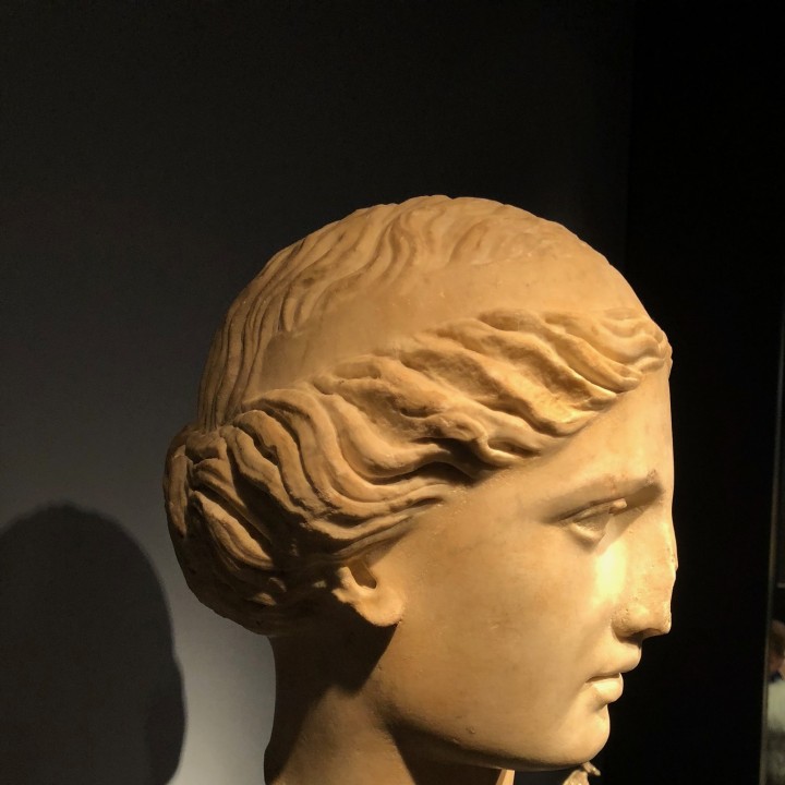 Marble head of the Venus de Capua image
