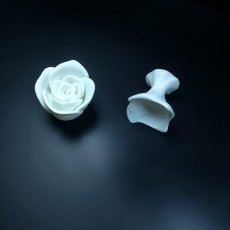 Picture of print of Rose