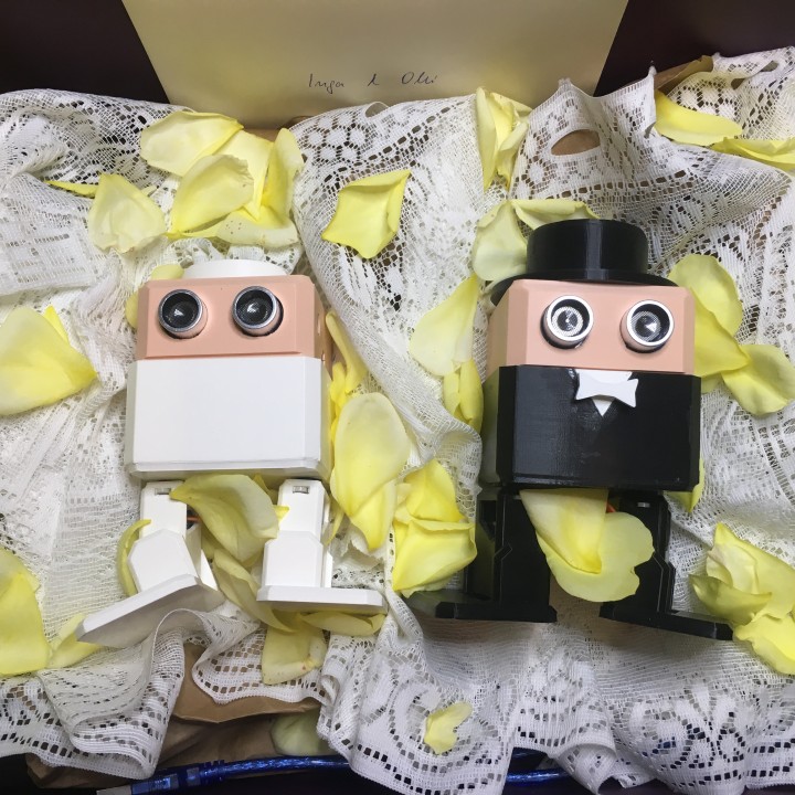 IngaDIY and OlliDIY two 3dprinted robots happylie married image