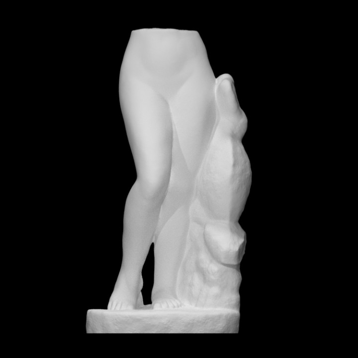 Lower part of marble statue of Aphrodite Anadyomene image