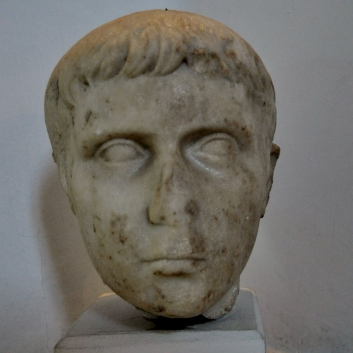 Head of a young male image