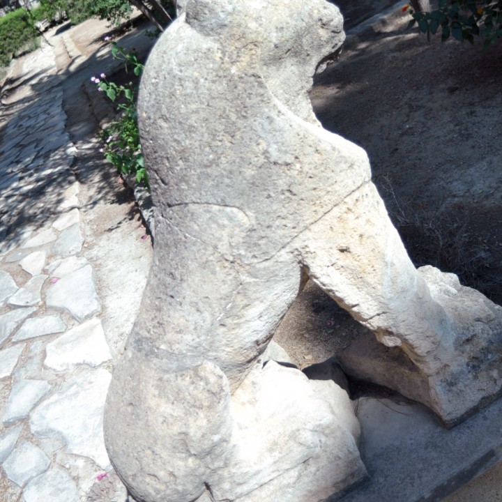 Seated Lion image