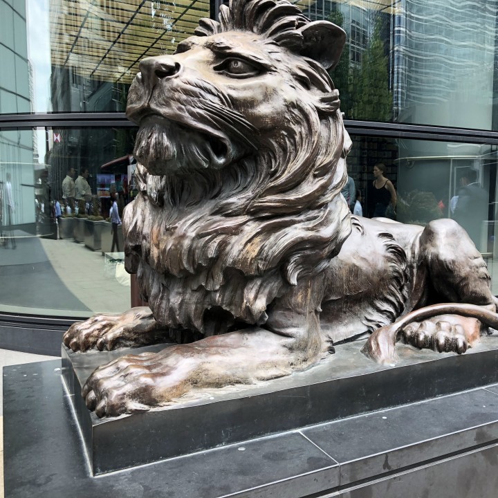 HSBC Lions image