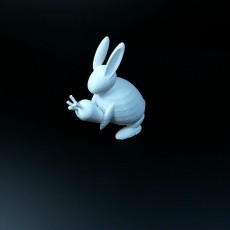 Picture of print of rabbit