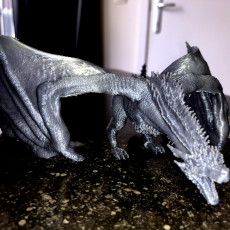 Picture of print of Drogon