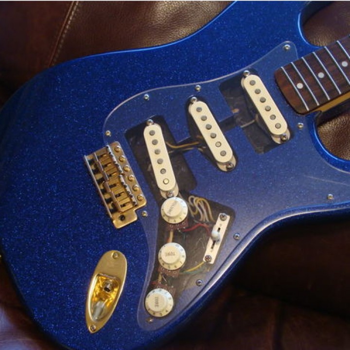 Descargar Pickguard and Tremologuard transparent laser cut de Léo Knapp