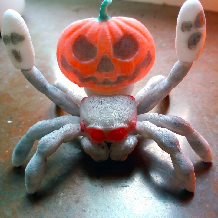 Halloween pumpkin peacock spider image
