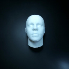 Picture of print of Human Head More detailed
