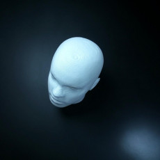 Picture of print of Human Head More detailed