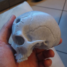 Picture of print of Vampire Skull
