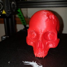 Picture of print of Vampire Skull