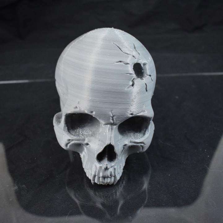 Vampire Skull image