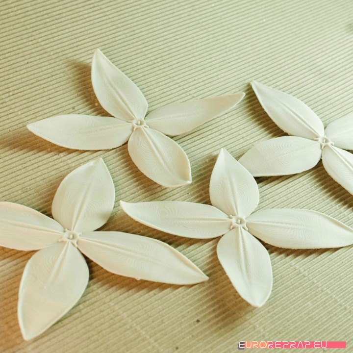 flowers: Ixora - 3D printable model image