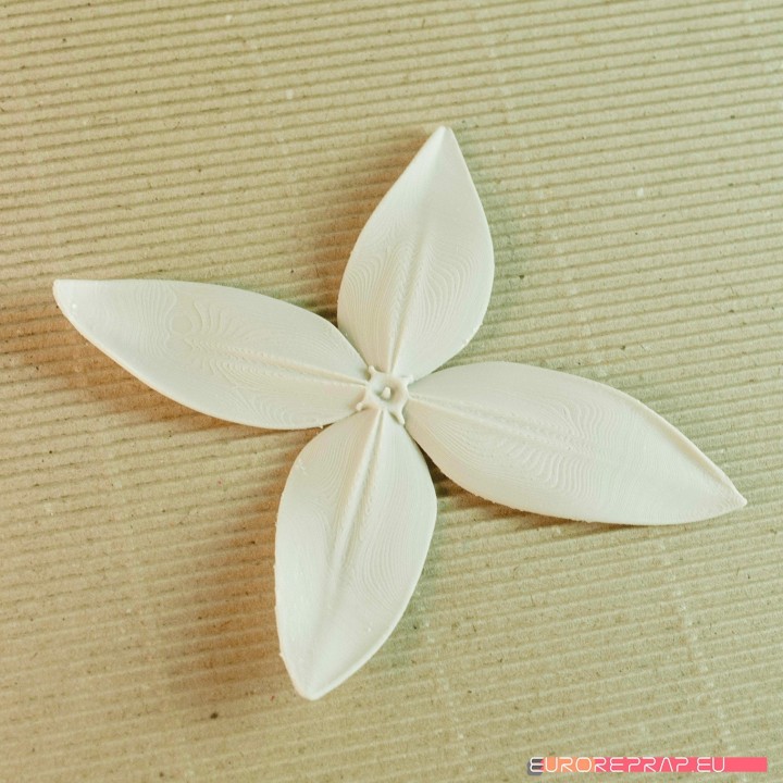 flowers: Ixora - 3D printable model image