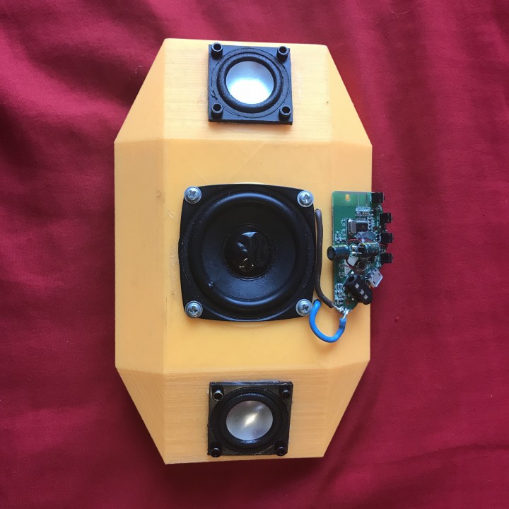 spare speaker case image