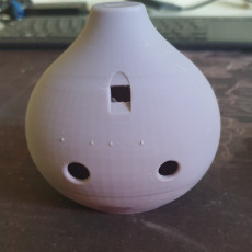 Picture of print of OCARINA