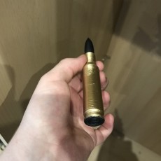 Picture of print of Bullet / Joint case