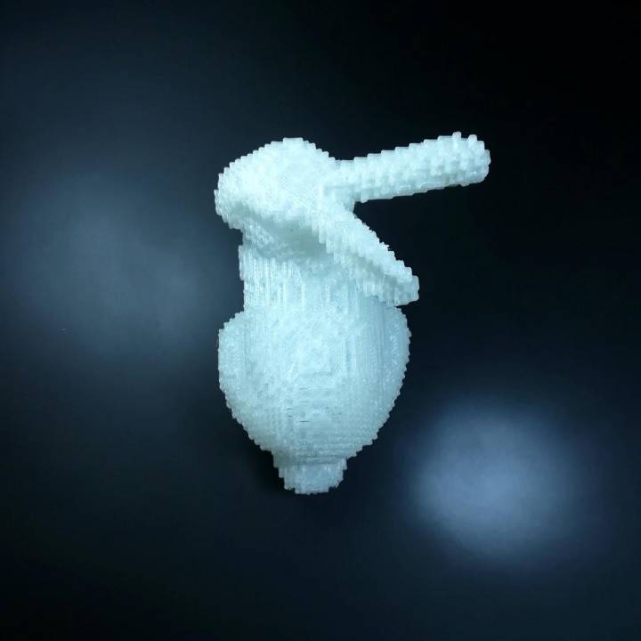 Pixel Bunny image