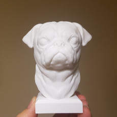 Picture of print of Pug Statue