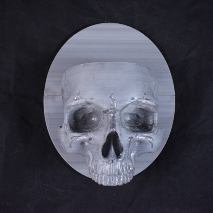 Skull Wall Sconce image