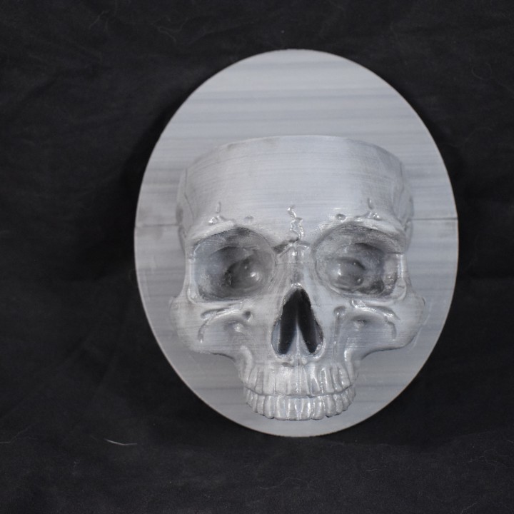 Skull Wall Sconce image