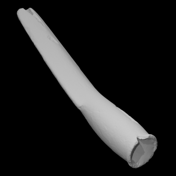 Alate-stemmed stone pipe image