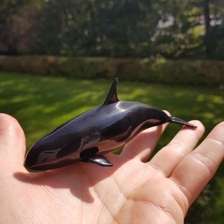 3D Printable Orca by meikl3d