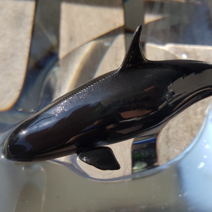 3D Printable Orca by meikl3d