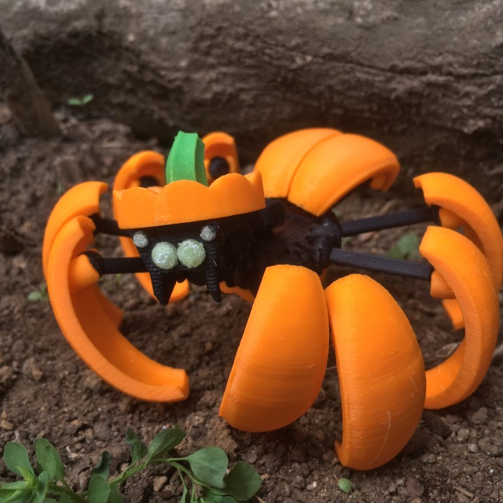 Halloween Pumpkin Spider Transformer image