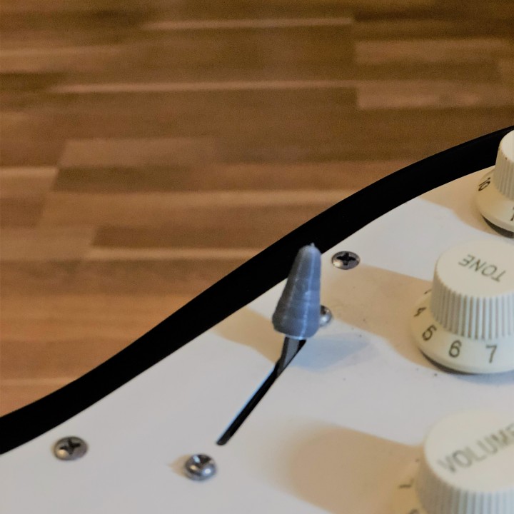 Stratocaster Switch image