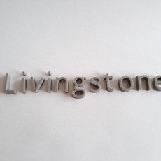 Picture of print of livingstone