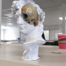 Picture of print of David's Cranium
