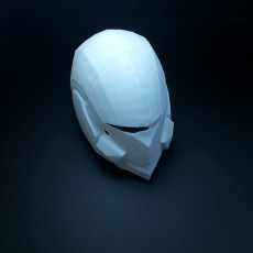 Picture of print of Destiny Swordflight Helmet