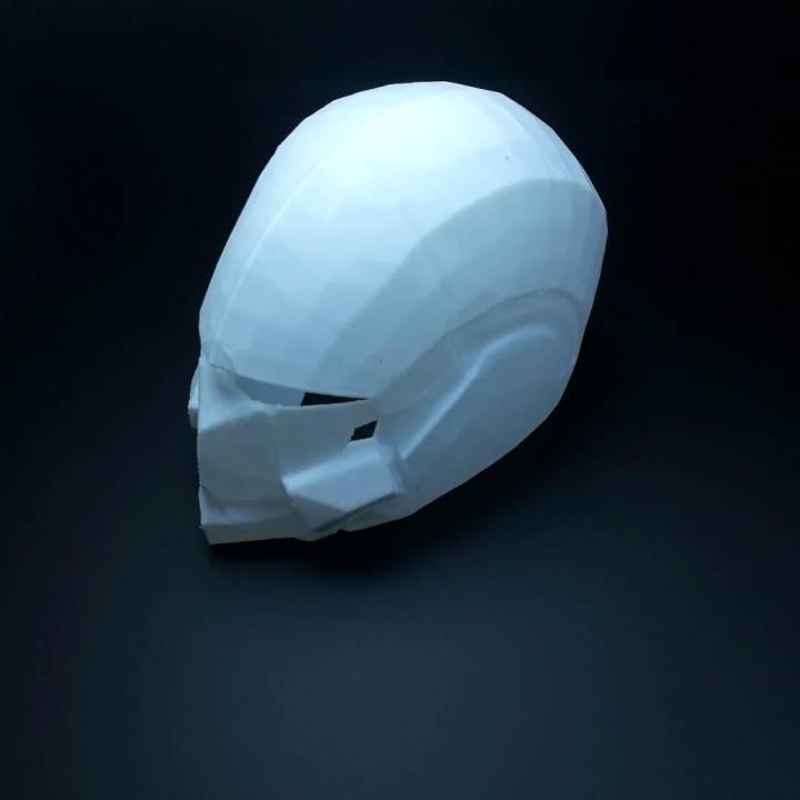 Destiny Swordflight Helmet image