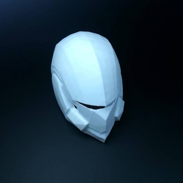 Destiny Swordflight Helmet image