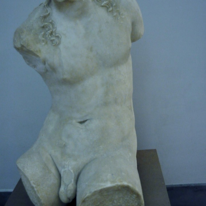Farnese Dionysos image
