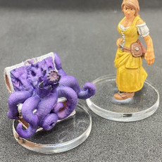 Picture of print of Mimic