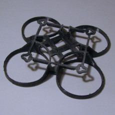 Picture of print of Brushless Mighty Whoop