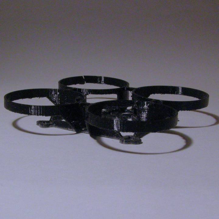 Brushless Mighty Whoop image